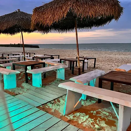 Miha Saint-Martin-de-Ré